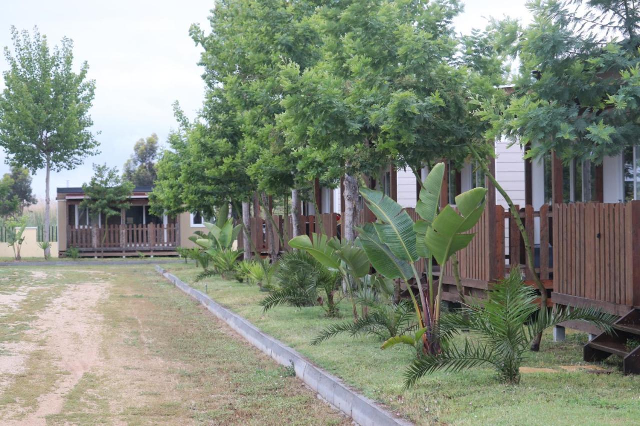 Camping Girasole Extérieur photo